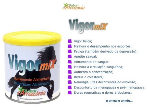 VigorMix